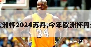 欧洲杯2024苏丹,今年欧洲杯丹麦