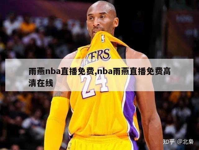 雨燕nba直播免费,nba雨燕直播免费高清在线