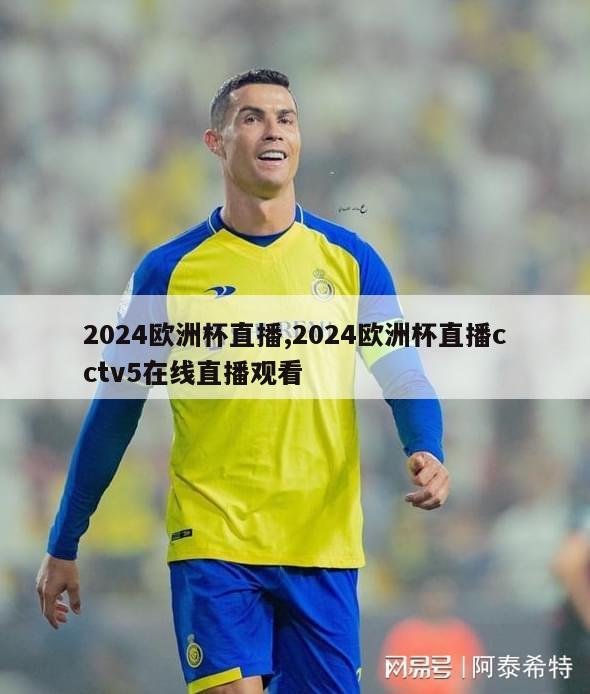 2024欧洲杯直播,2024欧洲杯直播cctv5在线直播观看