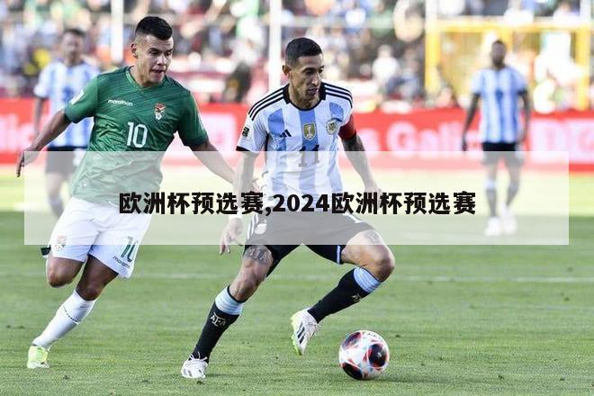 欧洲杯预选赛,2024欧洲杯预选赛