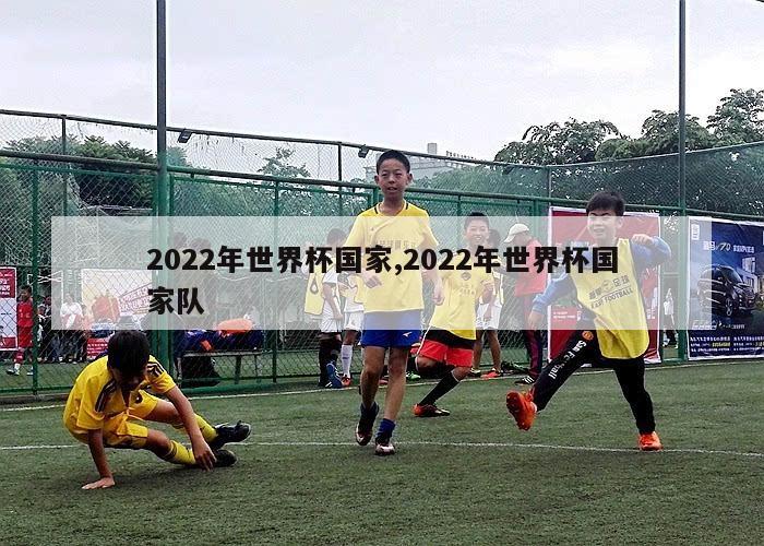 2022年世界杯国家,2022年世界杯国家队