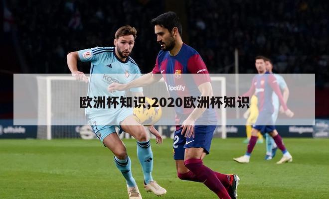 欧洲杯知识,2020欧洲杯知识