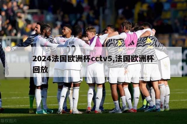 2024法国欧洲杯cctv5,法国欧洲杯回放