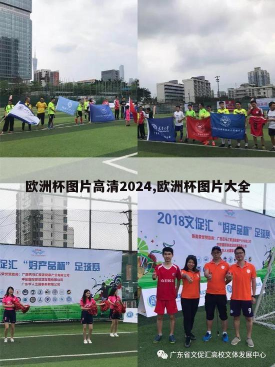 欧洲杯图片高清2024,欧洲杯图片大全