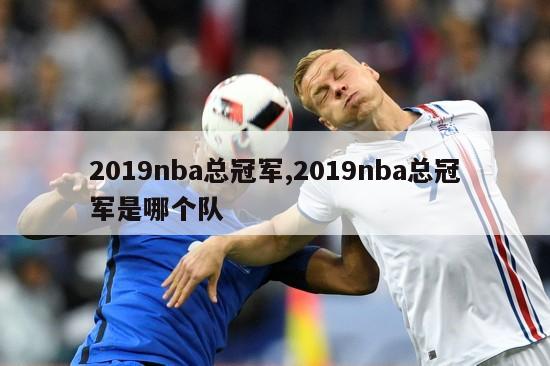 2019nba总冠军,2019nba总冠军是哪个队