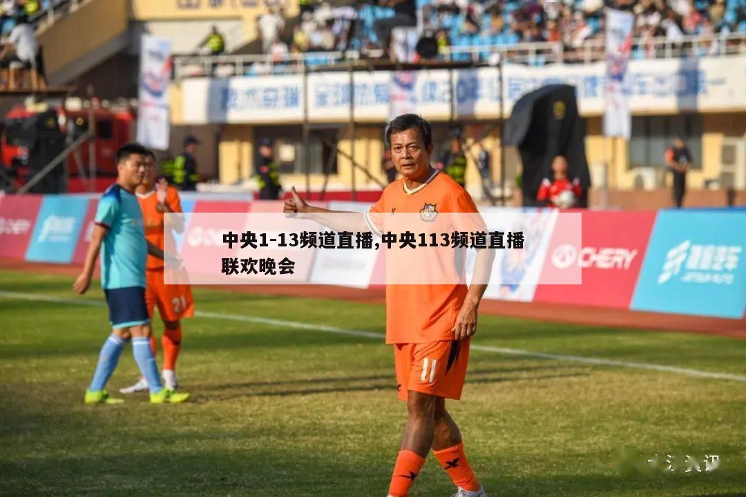 中央1-13频道直播,中央113频道直播联欢晚会