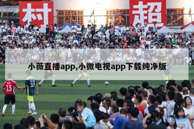 小薇直播app,小微电视app下载纯净版