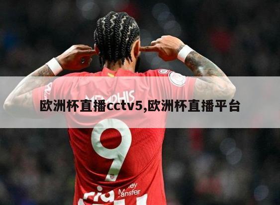 欧洲杯直播cctv5,欧洲杯直播平台