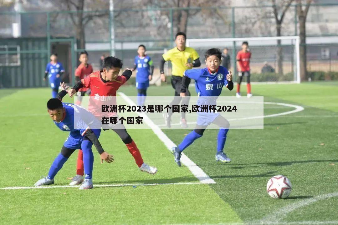 欧洲杯2023是哪个国家,欧洲杯2024在哪个国家