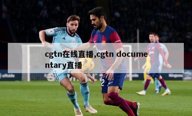 cgtn在线直播,cgtn documentary直播