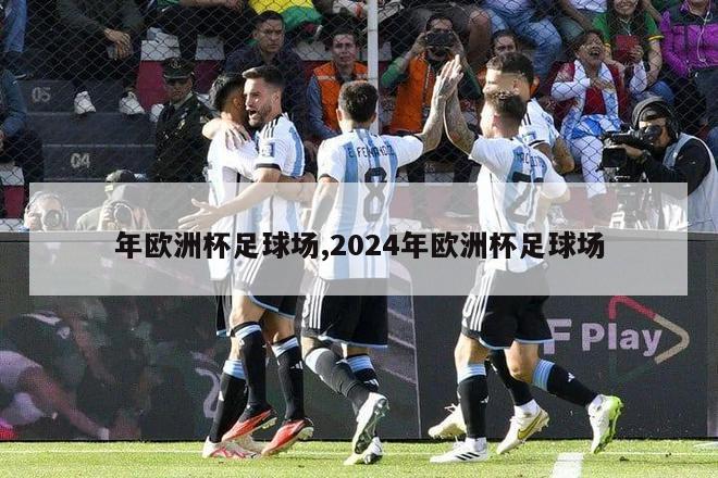 年欧洲杯足球场,2024年欧洲杯足球场