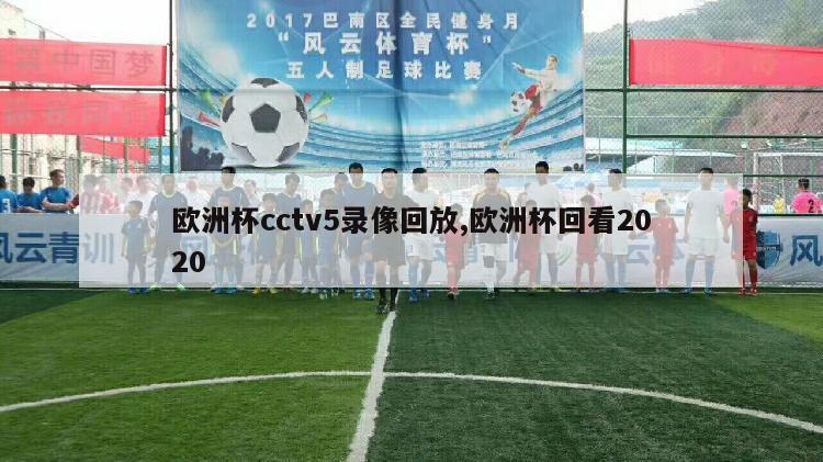 欧洲杯cctv5录像回放,欧洲杯回看2020